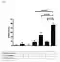 Fig. 03 - Combination of anticholinergics, β2-adrenoceptor agonists, antileukotrienes (leukotriene receptor antagonists), glucocorticoids and/or phosphodiesterase 4 inhibitors for the treatment of inflammatory diseases