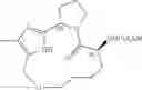 Fig. 303 - Hepatitis C virus inhibitors