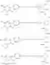 Fig. 09 - Benzimidazole derivatives