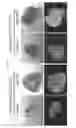 Fig. 29 - INDUCED PLURIPOTENT STEM CELL GENERATION USING TWO FACTORS AND P53 INACTIVATION