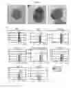 Fig. 31 - INDUCED PLURIPOTENT STEM CELL GENERATION USING TWO FACTORS AND P53 INACTIVATION