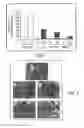 Fig. 03 - METHODS AND PHARMACEUTICAL COMPOSITIONS FOR HEALING WOUNDS