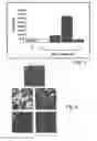 Fig. 05 - METHODS AND PHARMACEUTICAL COMPOSITIONS FOR HEALING WOUNDS
