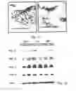 Fig. 10 - METHODS AND PHARMACEUTICAL COMPOSITIONS FOR HEALING WOUNDS