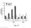 Fig. 11 - METHODS AND PHARMACEUTICAL COMPOSITIONS FOR HEALING WOUNDS