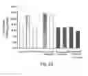 Fig. 17 - METHODS AND PHARMACEUTICAL COMPOSITIONS FOR HEALING WOUNDS