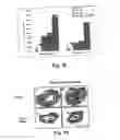 Fig. 19 - METHODS AND PHARMACEUTICAL COMPOSITIONS FOR HEALING WOUNDS