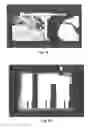 Fig. 21 - METHODS AND PHARMACEUTICAL COMPOSITIONS FOR HEALING WOUNDS