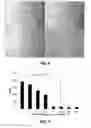 Fig. 06 - Surface modification of silk fibroin matrices with poly(ethylene glycol) useful as anti-adhesion barriers and anti-thrombotic materials