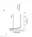 Fig. 06 - METHOD FOR TREATING INFLAMATION BY LYMPHOCYTE DEPLETION OR SEQUESTERING