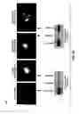 Fig. 10 - METHOD FOR INHIBITING NEURODEGENERATION