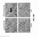 Fig. 26 - METHOD FOR INHIBITING NEURODEGENERATION