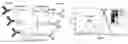 Fig. 01 - BISPECIFIC ANTIBODIES