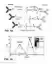 Fig. 02 - BISPECIFIC ANTIBODIES