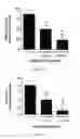 Fig. 02 - Anti-PECAM Therapy, Compositions, Methods, and Uses