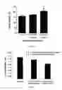 Fig. 03 - Anti-PECAM Therapy, Compositions, Methods, and Uses