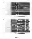 Fig. 03 - Modulation of kit signaling and hematopoietic cell development by IL-4 receptor modulation