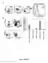 Fig. 05 - Modulation of kit signaling and hematopoietic cell development by IL-4 receptor modulation