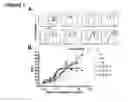 Fig. 02 - Antagonistic human LIGHT-specific human monoclonal antibodies
