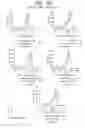 Fig. 17 - Antagonistic human LIGHT-specific human monoclonal antibodies