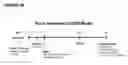 Fig. 38 - Antagonistic human LIGHT-specific human monoclonal antibodies