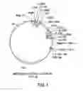 Fig. 02 - ANTAGONISTS OF PCSK9