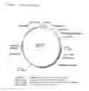 Fig. 02 - Plasmids with immunological action