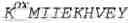Fig. 10 - VACCINIA VIRUS POLYPEPTIDES