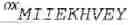 Fig. 11 - VACCINIA VIRUS POLYPEPTIDES