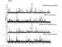 Fig. 04 - IMMUNODOMINANT COMPOSITIONS AND METHODS OF USE THEREFOR