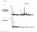 Fig. 07 - IMMUNODOMINANT COMPOSITIONS AND METHODS OF USE THEREFOR