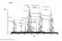 Fig. 08 - IMMUNODOMINANT COMPOSITIONS AND METHODS OF USE THEREFOR