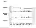 Fig. 10 - IMMUNODOMINANT COMPOSITIONS AND METHODS OF USE THEREFOR
