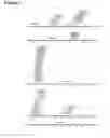 Fig. 08 - Antiviral vaccines with improved cellular immunogenicity