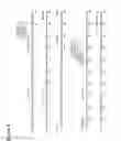 Fig. 09 - Antiviral vaccines with improved cellular immunogenicity