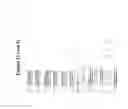 Fig. 36 - Antiviral vaccines with improved cellular immunogenicity