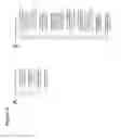 Fig. 47 - Antiviral vaccines with improved cellular immunogenicity