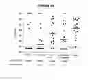 Fig. 20 - COMBINATIONS OF PNEUMOCOCCAL RRGB CLADES