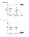 Fig. 21 - COMBINATIONS OF PNEUMOCOCCAL RRGB CLADES