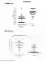 Fig. 26 - COMBINATIONS OF PNEUMOCOCCAL RRGB CLADES