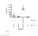 Fig. 07 - Immunogenic composition and use thereof