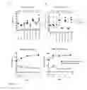 Fig. 08 - Immunogenic composition and use thereof