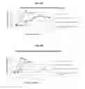 Fig. 03 - Antigenic chimeric tick-borne encephalitis virus/dengue virus type 4 recombinant viruses