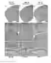 Fig. 04 - Antigenic chimeric tick-borne encephalitis virus/dengue virus type 4 recombinant viruses