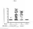 Fig. 07 - Antigenic chimeric tick-borne encephalitis virus/dengue virus type 4 recombinant viruses