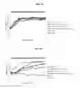 Fig. 08 - Antigenic chimeric tick-borne encephalitis virus/dengue virus type 4 recombinant viruses