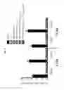 Fig. 09 - Antigenic chimeric tick-borne encephalitis virus/dengue virus type 4 recombinant viruses