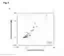 Fig. 07 - Recombinantly produced allergens