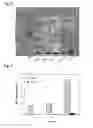 Fig. 08 - Recombinantly produced allergens