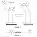Fig. 12 - Surface-oriented antibody coating for the reduction of post-stent restenosis